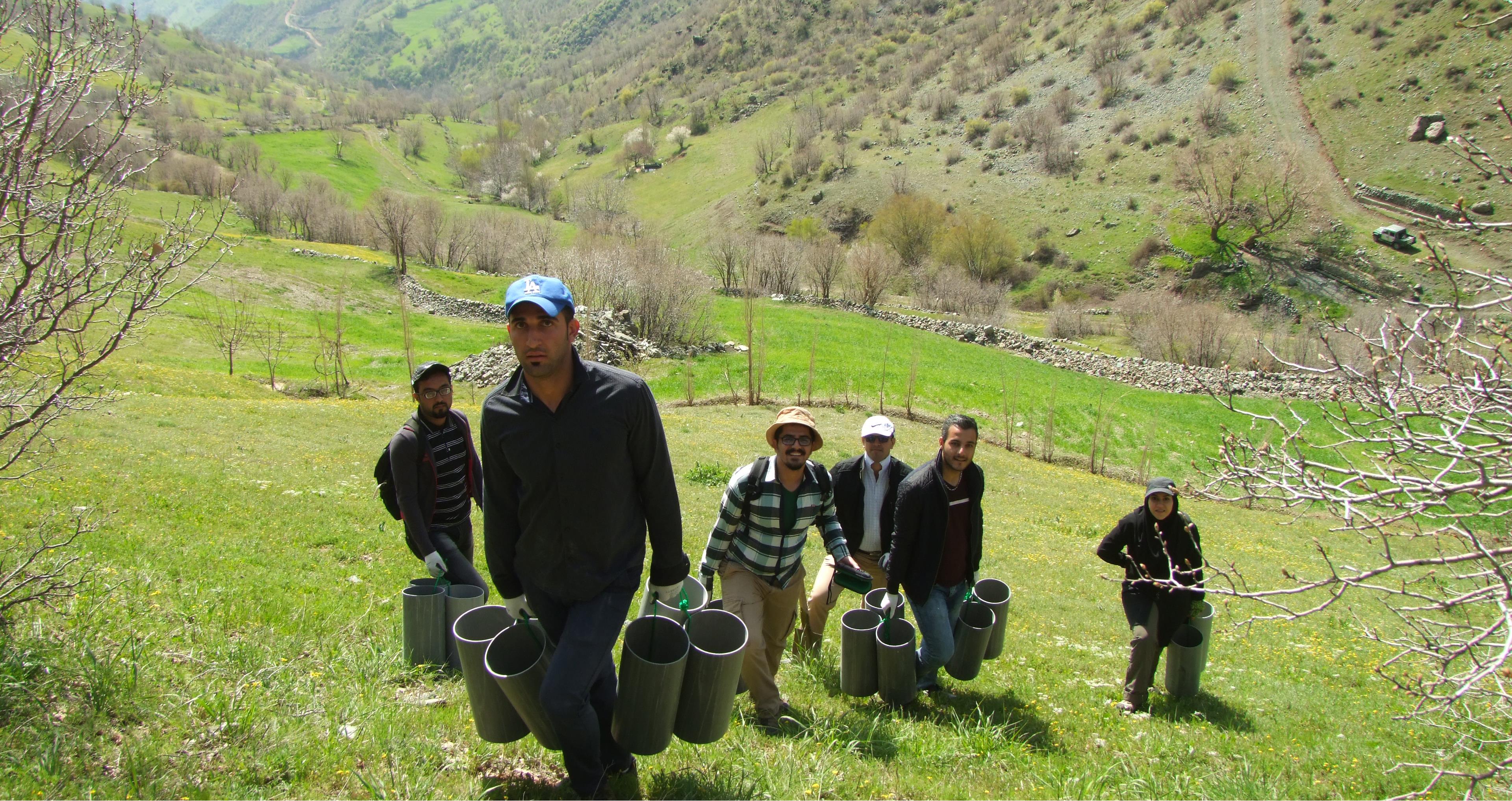 بررسی اثر آتش سوزی بر فراوانی و غنای گونه ای خزندگان منطقه برقرو