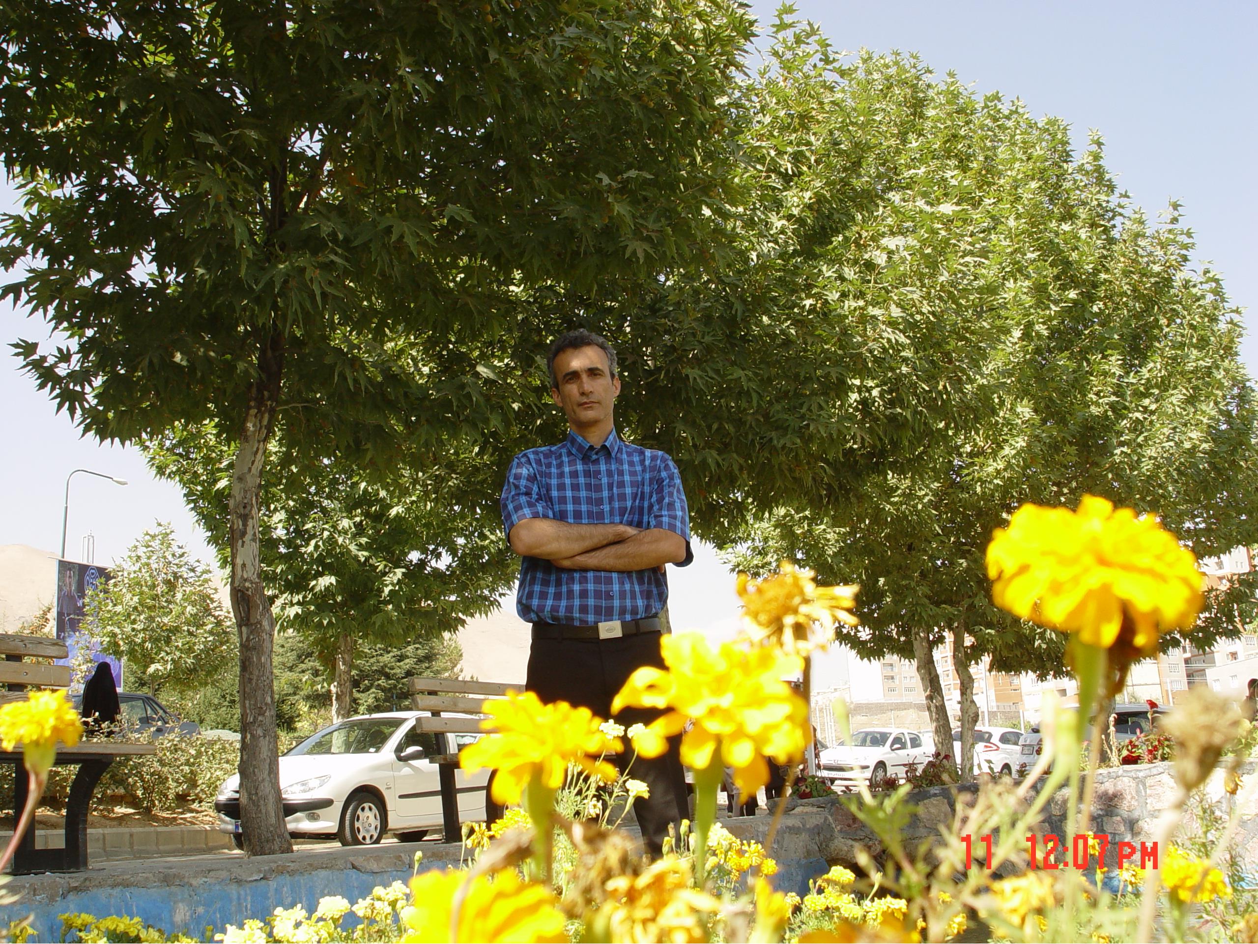 پروفسور سید ابوالفضل مسعودیان