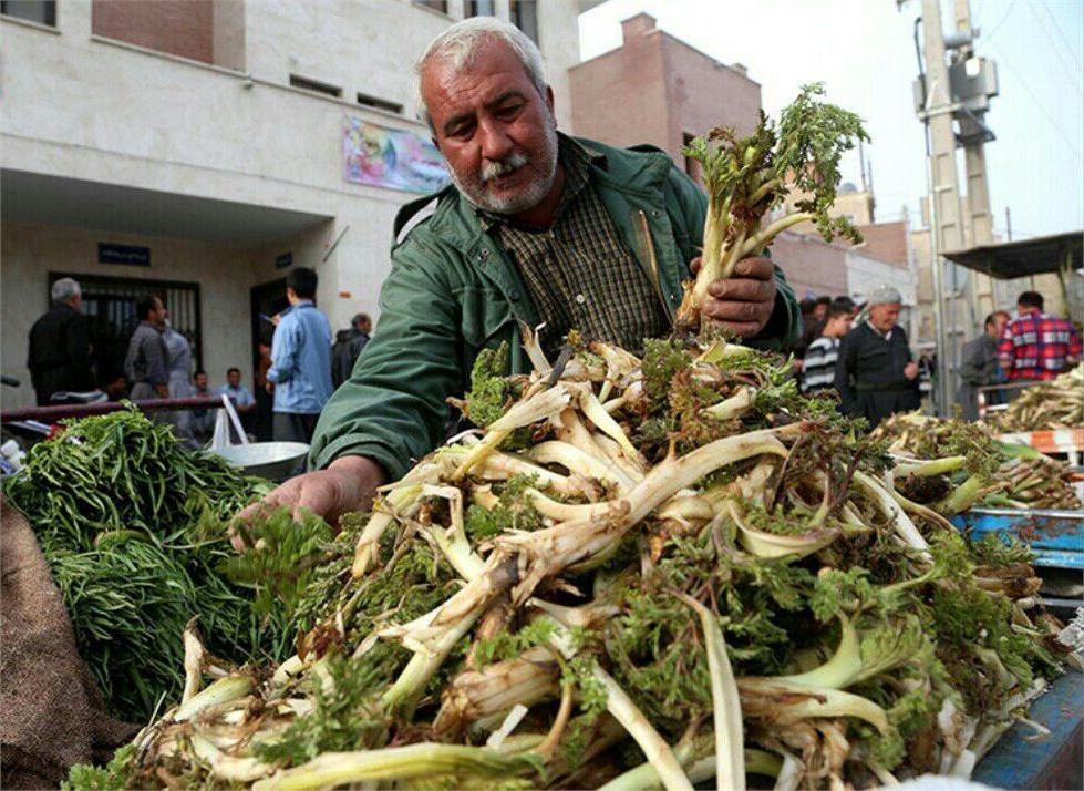 غذاداروهای بهاری