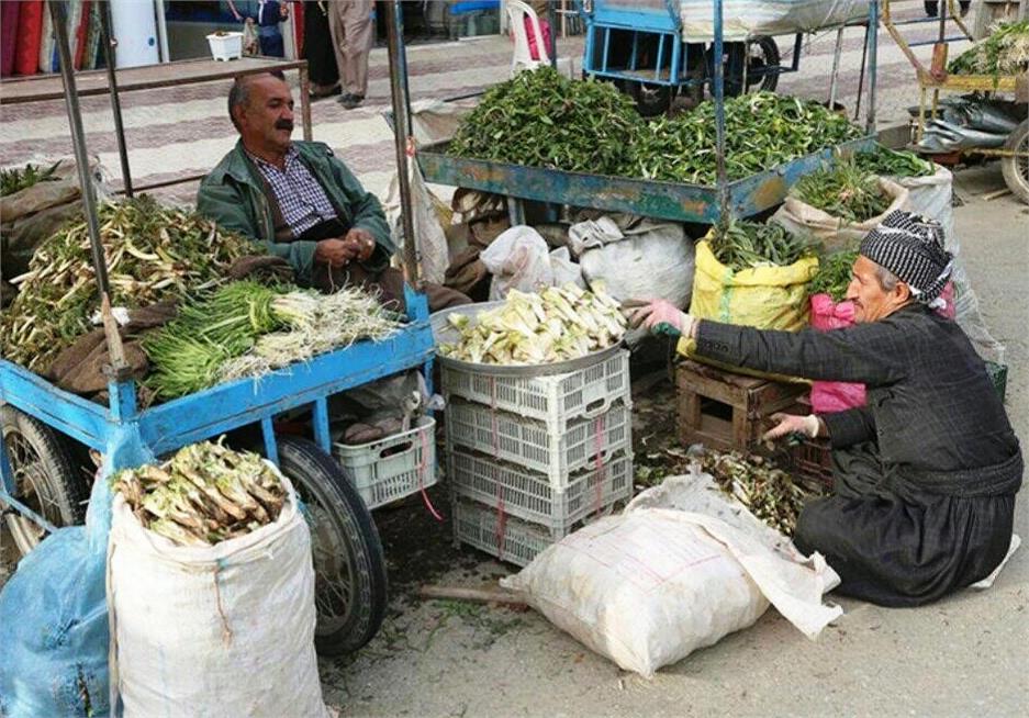 غذاداروهای بهاری