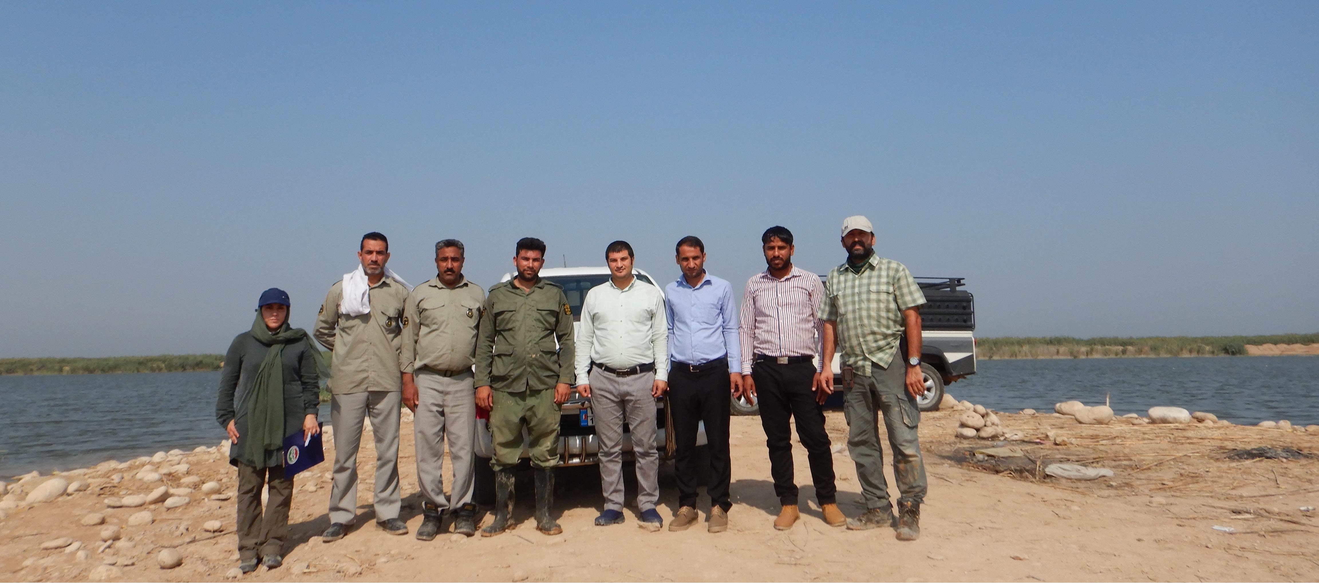 برآورد جمعیت لاکپشت فراتی در تالاب هورالعظیم استان خوزستان