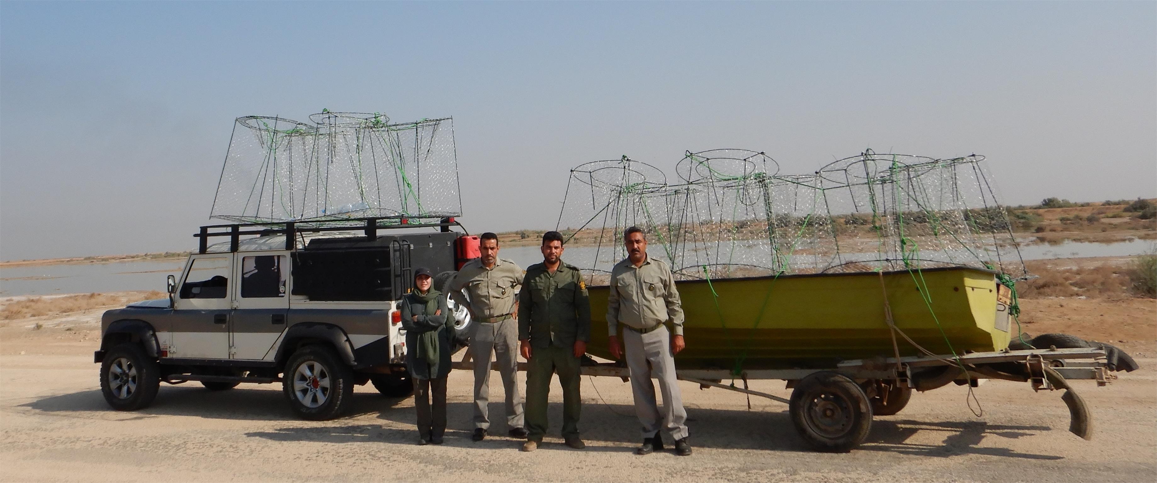 برآورد جمعیت لاکپشت فراتی در تالاب هورالعظیم استان خوزستان