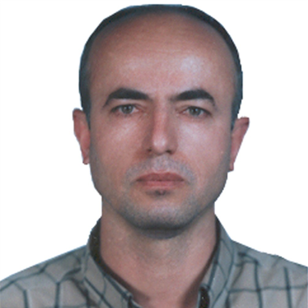 Hadi Amin-Rasouli