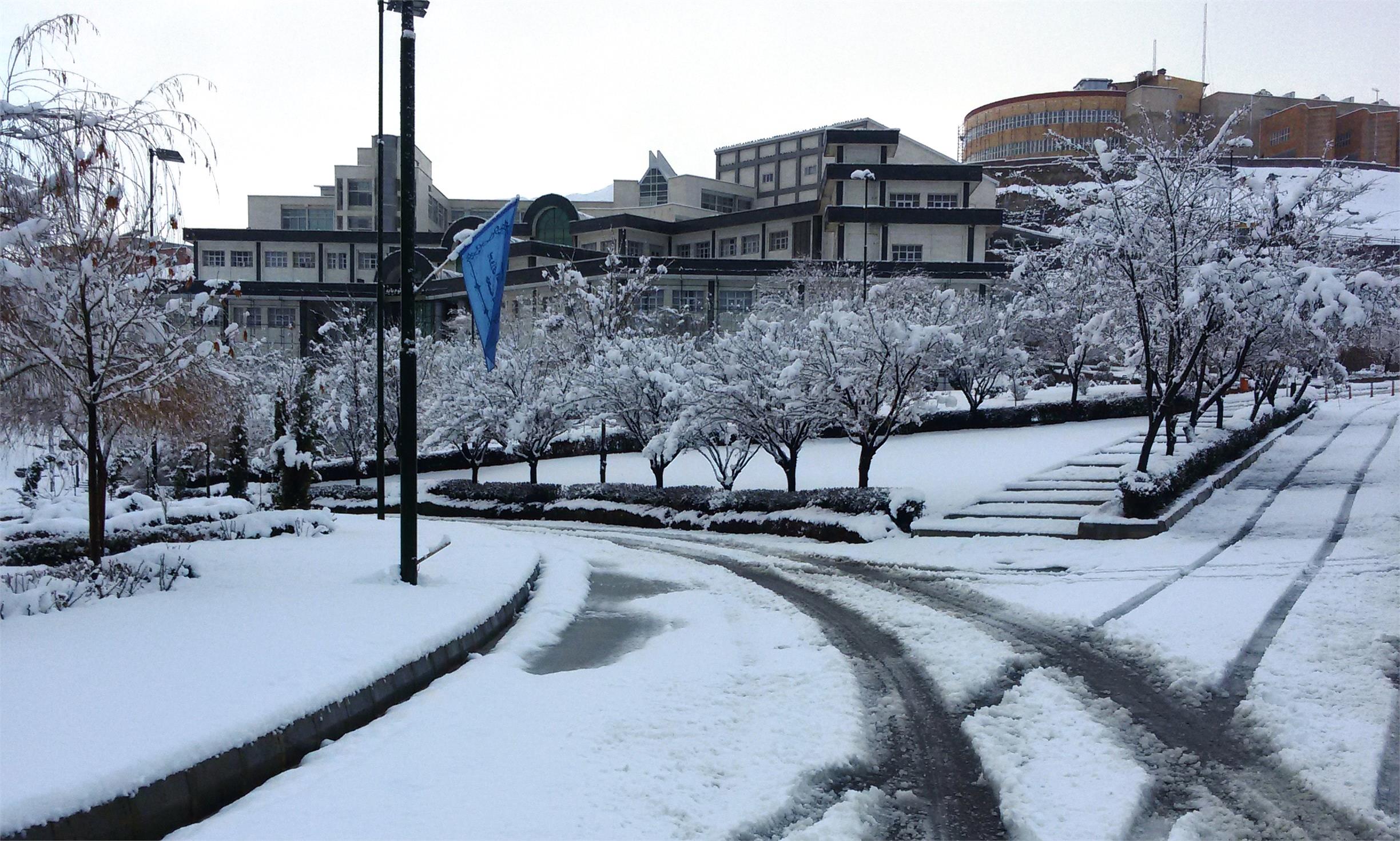 دانشکده علوم پایه