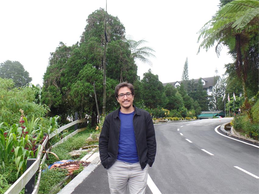 کامرون هایلند