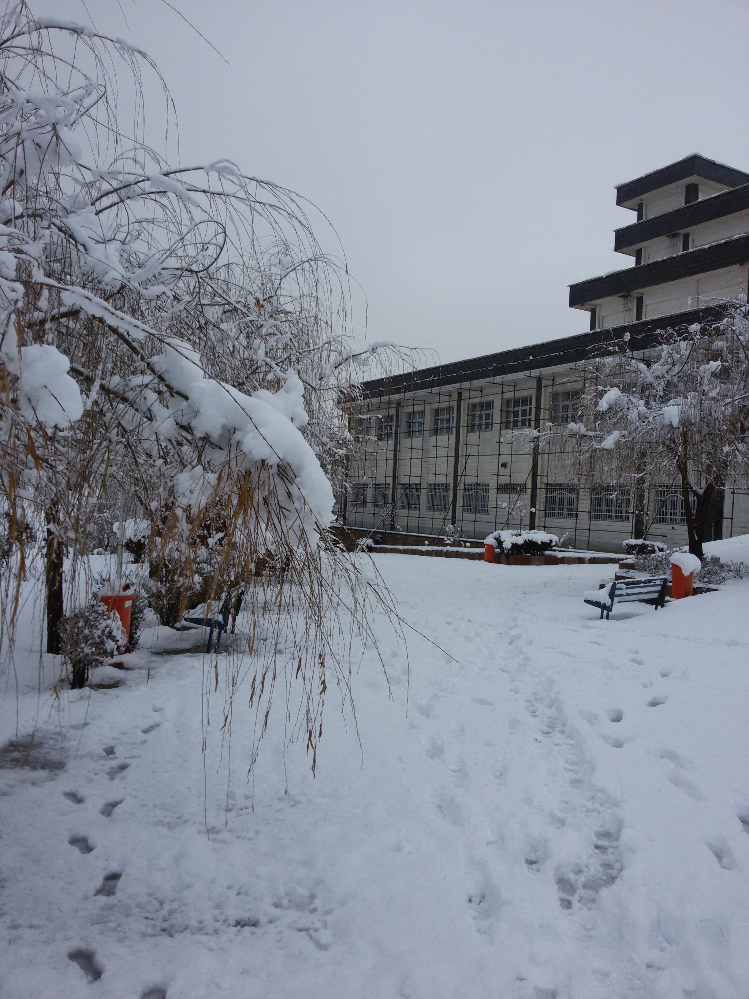 دانشکده علوم پایه