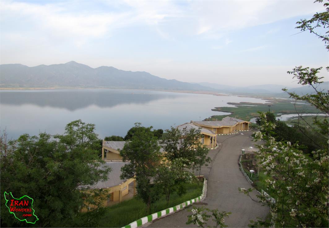 دریاه زریوار-دریاچه آب شیرین زریبار یا زریوار یکی جاذبه های طبیعت گردی منحصر به فرد و از زیباترین منابع طبیعی کردستان